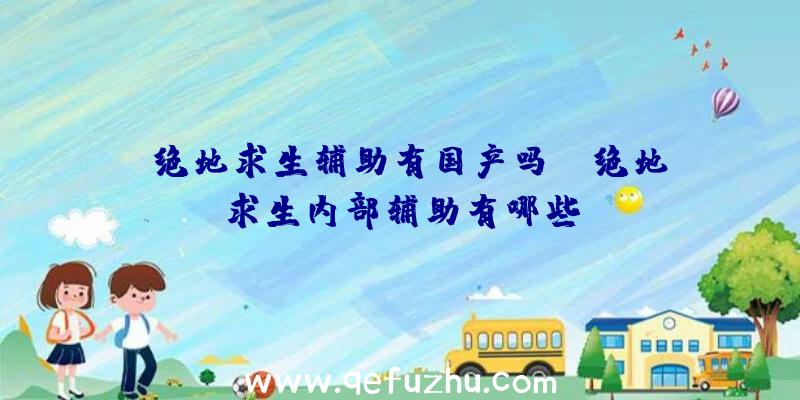 「绝地求生辅助有国产吗」|绝地求生内部辅助有哪些